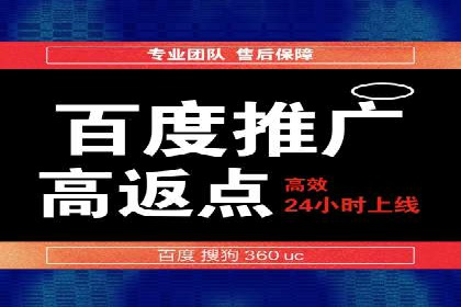 SEM推广实战：案例分析及效果评估